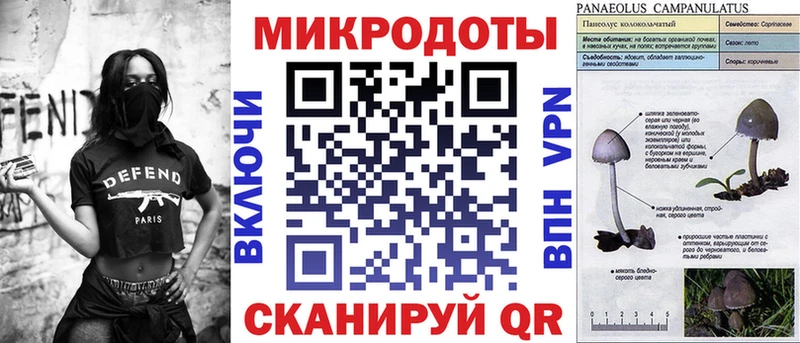 дарнет шоп Конаково omg зеркало Галлюциногенные грибы MAGIC MUSHROOMS
